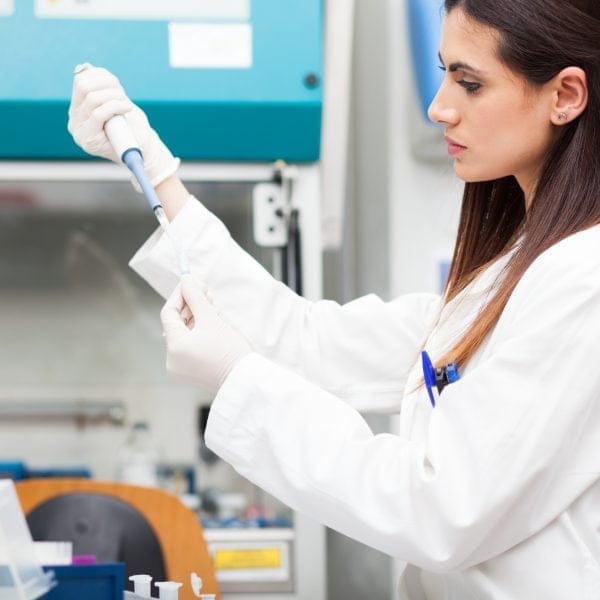 The Drug Development Process