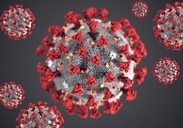 Corona Virus – We are here to support you and your company